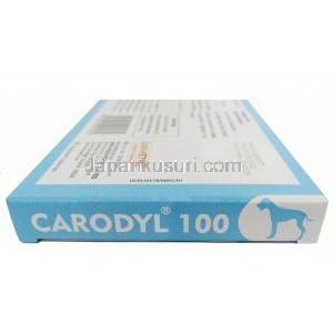 カロディル  100, カプロフェン 100 mg, 6 錠, 製造元：Sava Vet, 箱側面