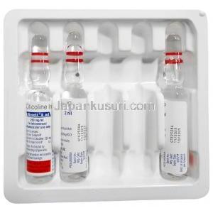 ストロシット 注射, シチコリン 1mLあたり250 mg, 注射 2mL, 製造元:Sun Pharmaceutical Industries, パッケージ