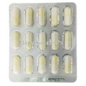 パントガル, 硝酸チアミン 60mg/D-パントテン酸カルシウム 60mg/サッカロミセス薬(ビガー酵母) 100mg/L-シスチン 20mg/ケラチン 20mg/パラアミノ安息香酸 20mg, 90 カプセル, MSD,シート