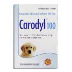 カプロフェン, カロディル Carodyl, 100mg チュワブル錠 (Sava Medicare) 箱